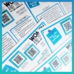 Women-and-the-Vote-Historical-Prompt-Task-Cards-d