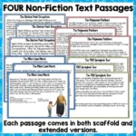new-Zealand-Protests-Digital-Reading-Activities-2