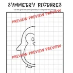 Symmetry Pictures F