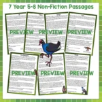 Native Birds Task Cards Year 5-8 a