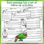 Native Birds Task Cards Year 5-8 b