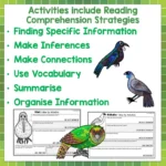 Native Birds Task Cards Year 5-8 c