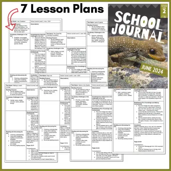 School Journal Level 2 June 2024 b School Journal Level 2 June 2024 b