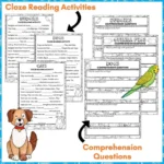 Pets-Reading-Activities-Year-3-1