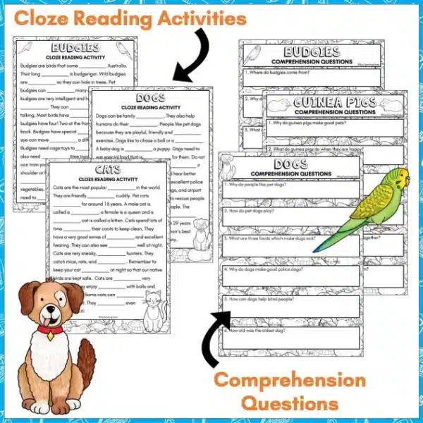 Pets-Reading-Activities-Year-3-1 Pets-Reading-Activities-Year-3-1