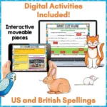 Pets-Reading-Activities-Year-3-b