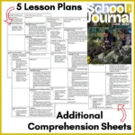 SJ Level 3 June 2024 b