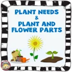 Plant Readings Cover
