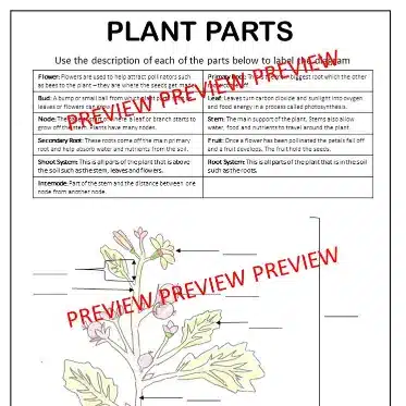 Plant readings B Plant readings B