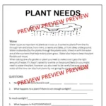 Plant readings C