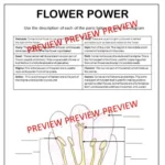 Plant readings D