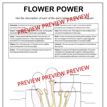 Plant readings D Plant readings D