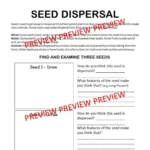 Plant readings F