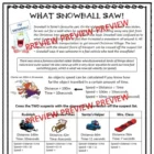 CSI Christmas Maths Science E