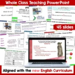 The Great Rat-Catching Competition SJ L2 June 2024 Whole Class c
