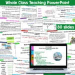 Running Wild Whole Class Teaching Activities b