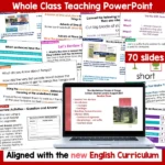 The Mysterious Stones of Tonga whole class b