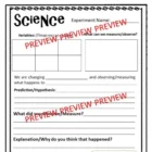 Volcano Experiment D