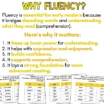 Fluency Slides - Phase 1 - Māhuri c