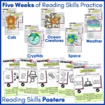 Reading Skills Practice Activities Year 7-8 c