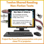 Mini-Beasts Phase One Shared Reading Volume One a