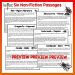 Mini beasts Year 4 Task Cards Volume 1 a