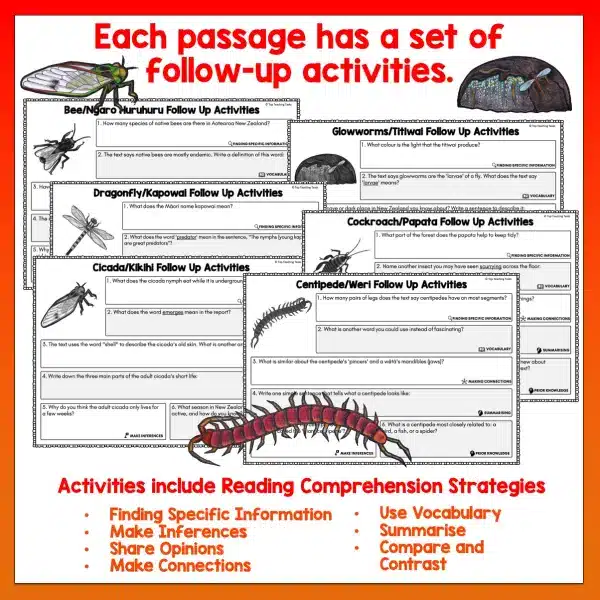 Mini beasts Year 4 Task Cards Volume 1 b Mini beasts Year 4 Task Cards Volume 1 b