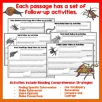 Mini beasts Year 4 Task Cards Volume 2 b