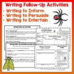 Mini beasts Year 4 Task Cards Volume 2 c