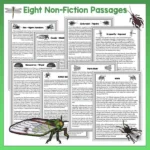 Mini beasts 5-8 Reading Activities a