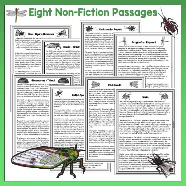 Mini beasts 5-8 Reading Activities a Mini beasts 5-8 Reading Activities a