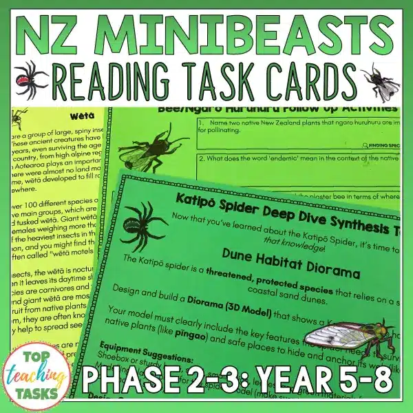 Mini beasts 5-8 Reading Activities