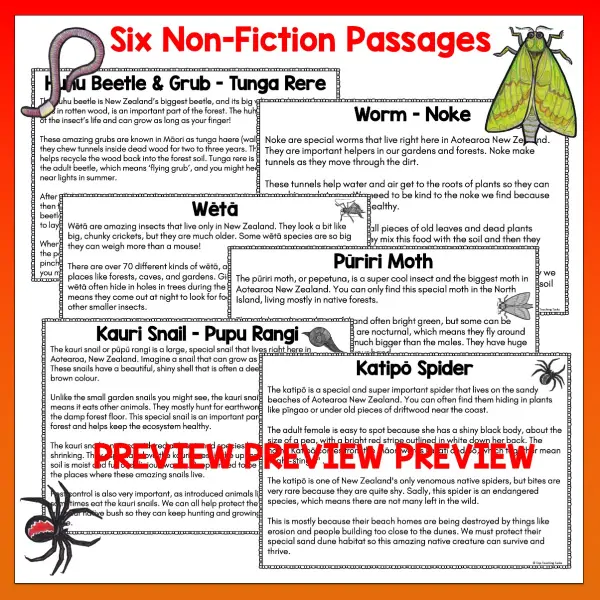 Mini beasts Year 4 Task Cards Digital Volume 2 a Mini beasts Year 4 Task Cards Digital Volume 2 a