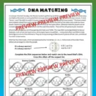 CSI Genetics D