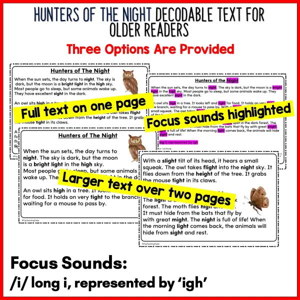 Hunters of the Night Decodable Text and Activities for Older Readers b Hunters of the Night Decodable Text and Activities for Older Readers b