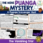 The Puanga Mini Mystery