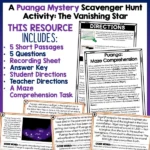 The Puanga Mini Mystery a