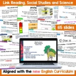 What is a Tree Junior Journal 64 Whole Class b